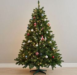 В Колпинском районе можно будет сдать на утилизацию старые ёлки