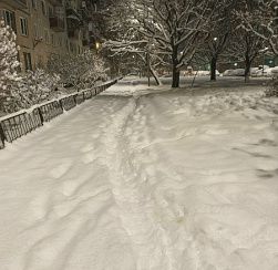 В новогоднюю ночь температура воздуха в Петербурге опустится до -14 градусов