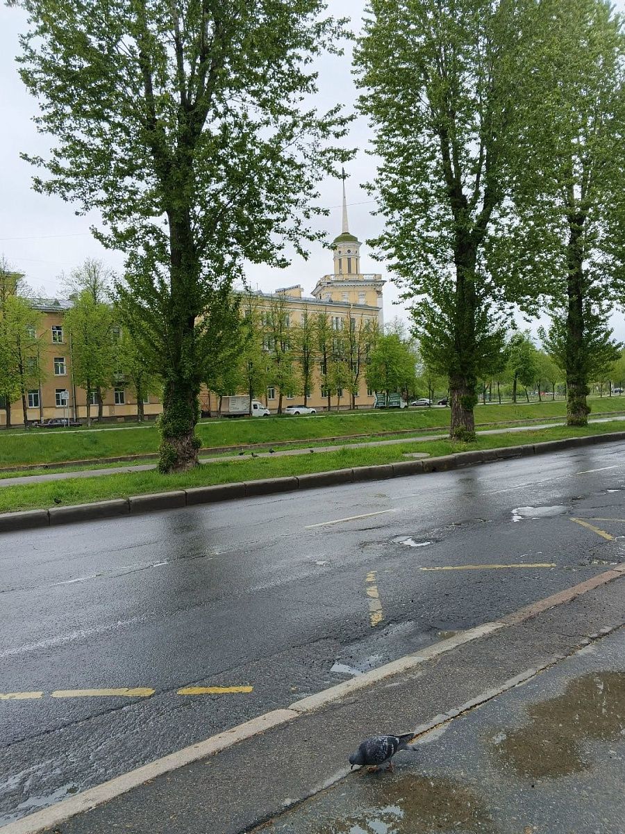 В Петербурге ближе к вечеру пройдут кратковременные дожди