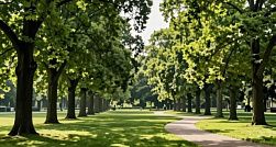 Россиянам назвали наиболее опасные методы удаления клещей