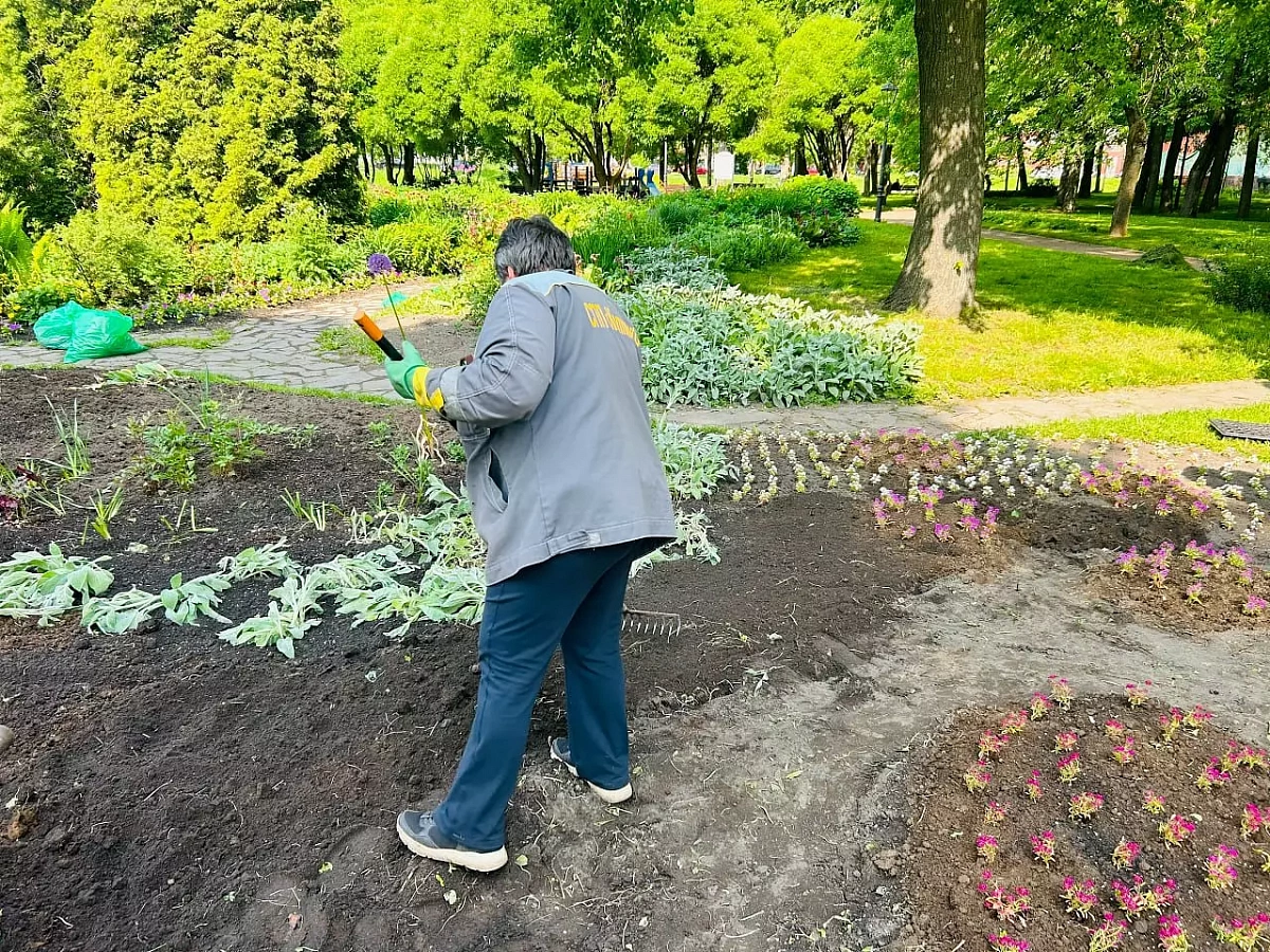 На улицах Колпинского района высаживают цветы