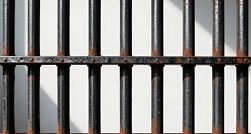 В Петербурге троих курьеров мошенников отправили в колонию