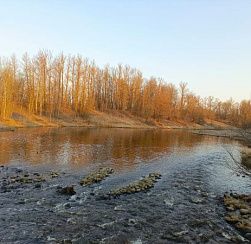 Петербуржцам рассказали, как бороться с осенней депрессией