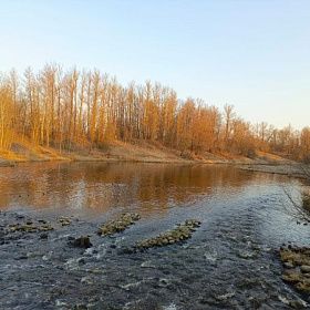 Петербуржцам рассказали, как бороться с осенней депрессией