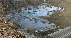 В Петербурге росгвардейцы спасли упавшего в Утку ребёнка