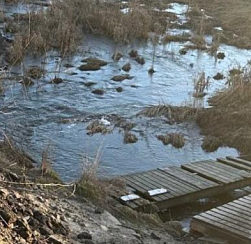 В Петербурге росгвардейцы спасли упавшего в Утку ребёнка