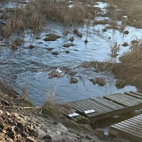 В Петербурге росгвардейцы спасли упавшего в Утку ребёнка