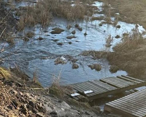 В Петербурге росгвардейцы спасли упавшего в Утку ребёнка