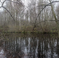 Усть-Ижорский сапёрный лагерь в Колпинском районе признан выявленным памятником истории и культуры