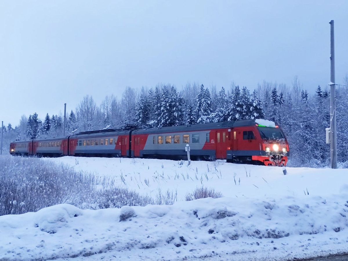 В Петербурге стартовали первые «Лыжные стрелы»