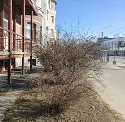 В Петербург возвращаются дожди