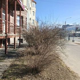 В Петербург возвращаются дожди