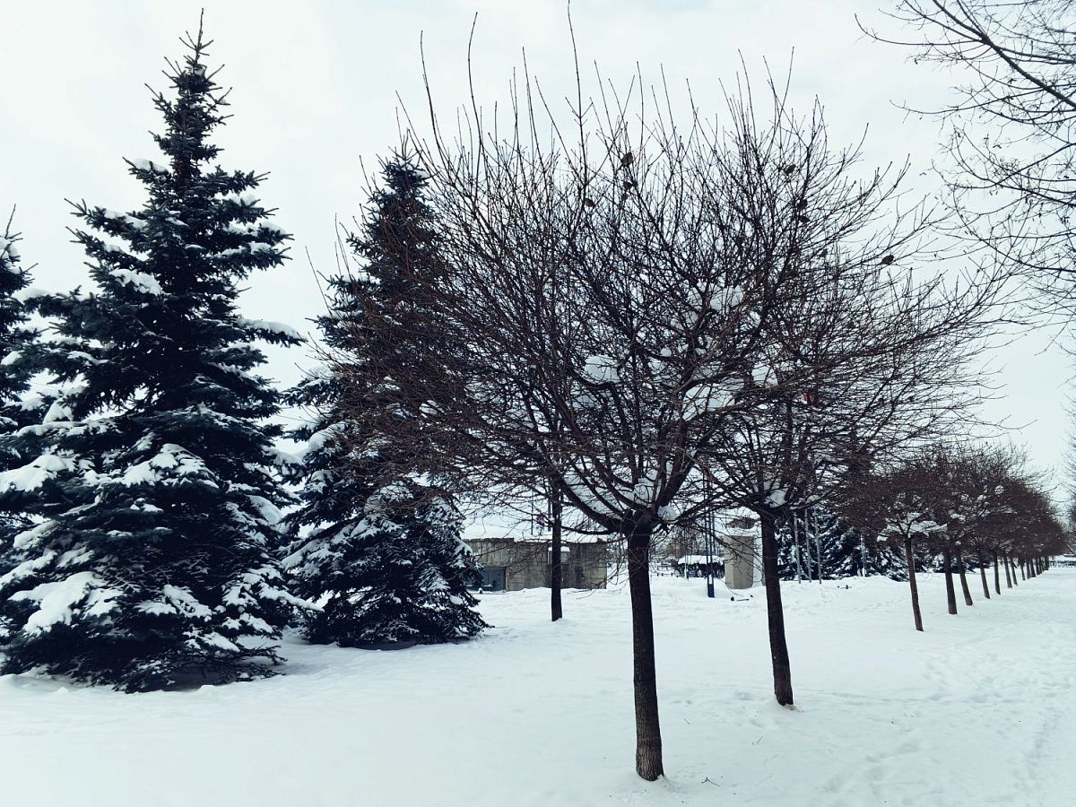 К середине января в Петербург придут морозы до -17 градусов