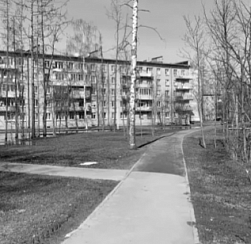 Жители Колпинского района могут проголосовать за территорию для благоустройства