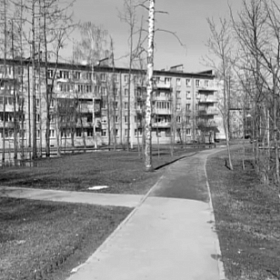 Жители Колпинского района могут проголосовать за территорию для благоустройства