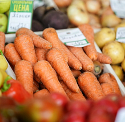 Врач назвала продукты для осеннего рациона