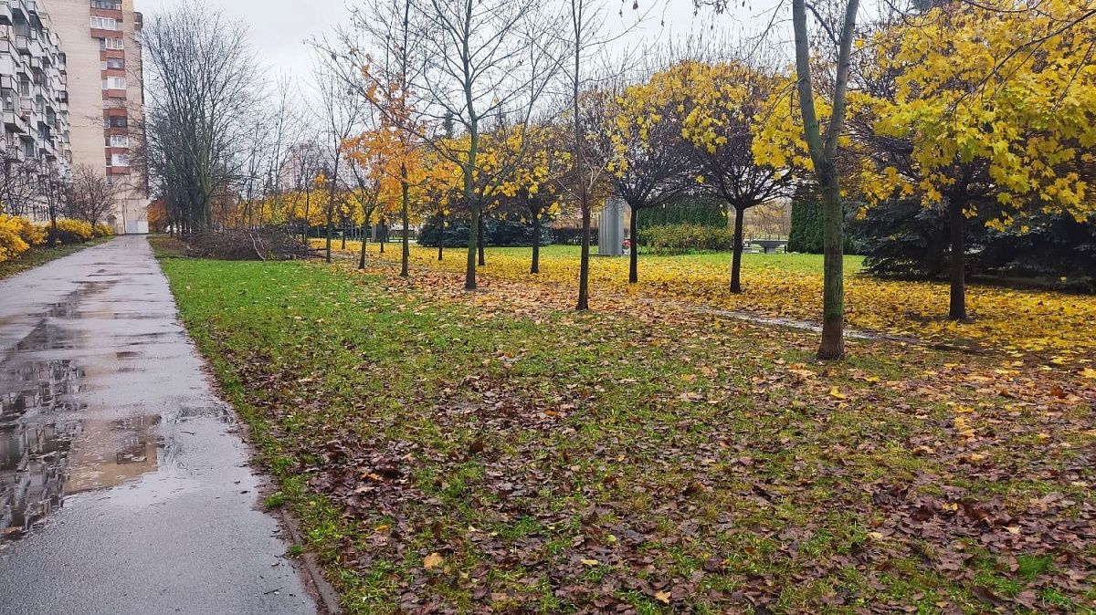 Аномальное тепло и дожди пришли в Петербурге после праздников