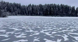 Петербургские туристы перевернулись на аэролодке в Карелии