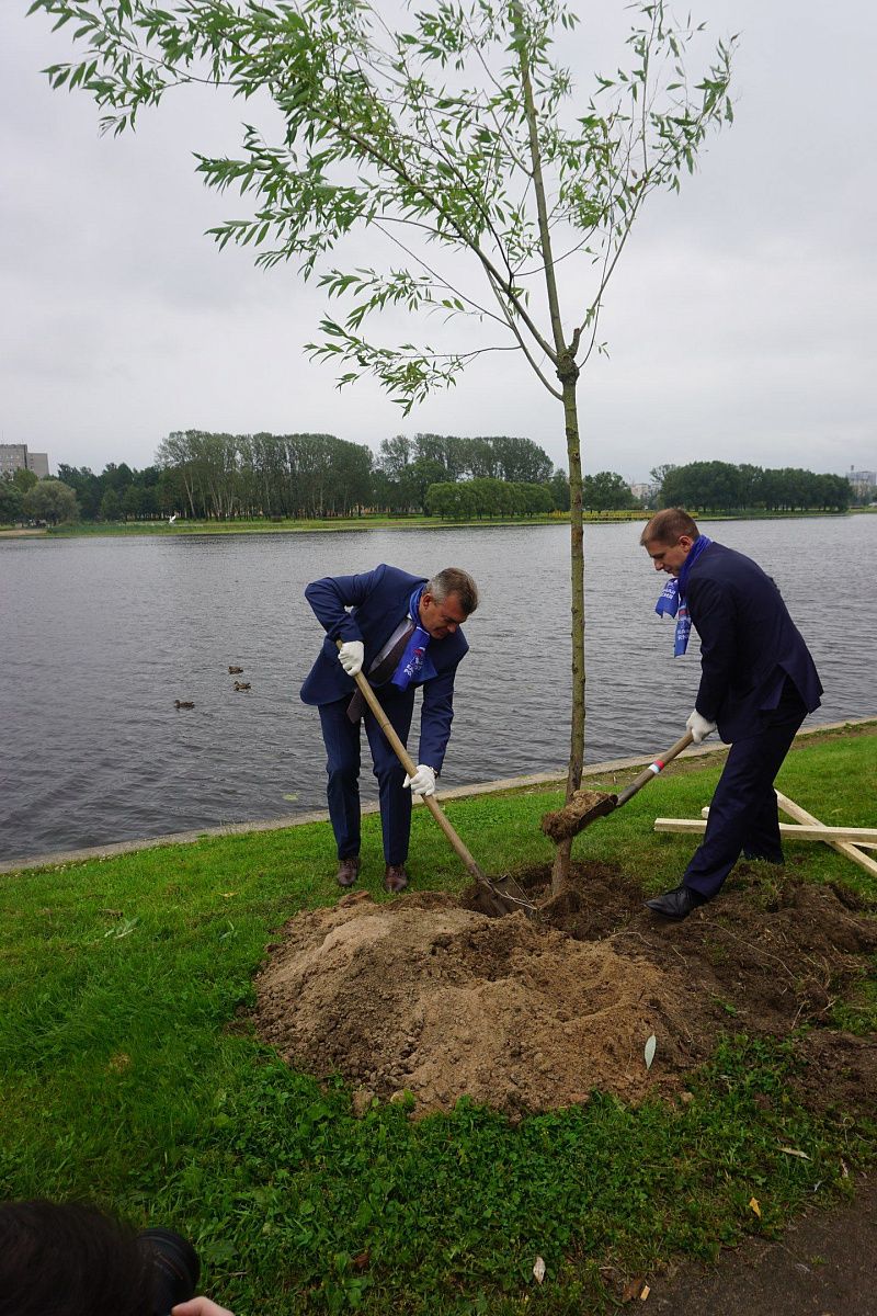 В Колпинском районе появилась  Ижорская аллея