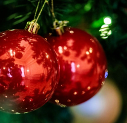 Россиян предупредили о штрафах за установку новогодней елки в подъезде