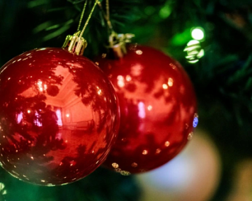 Россиян предупредили о штрафах за установку новогодней елки в подъезде