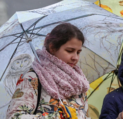 Ноябрь подарил ежедневные осадки и лишил Петербург солнца