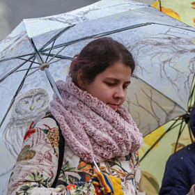 Ноябрь подарил ежедневные осадки и лишил Петербург солнца