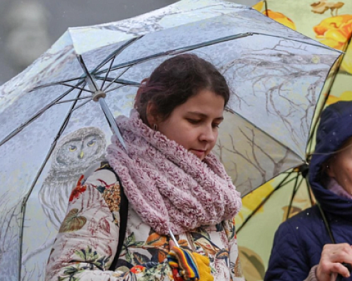 Ноябрь подарил ежедневные осадки и лишил Петербург солнца