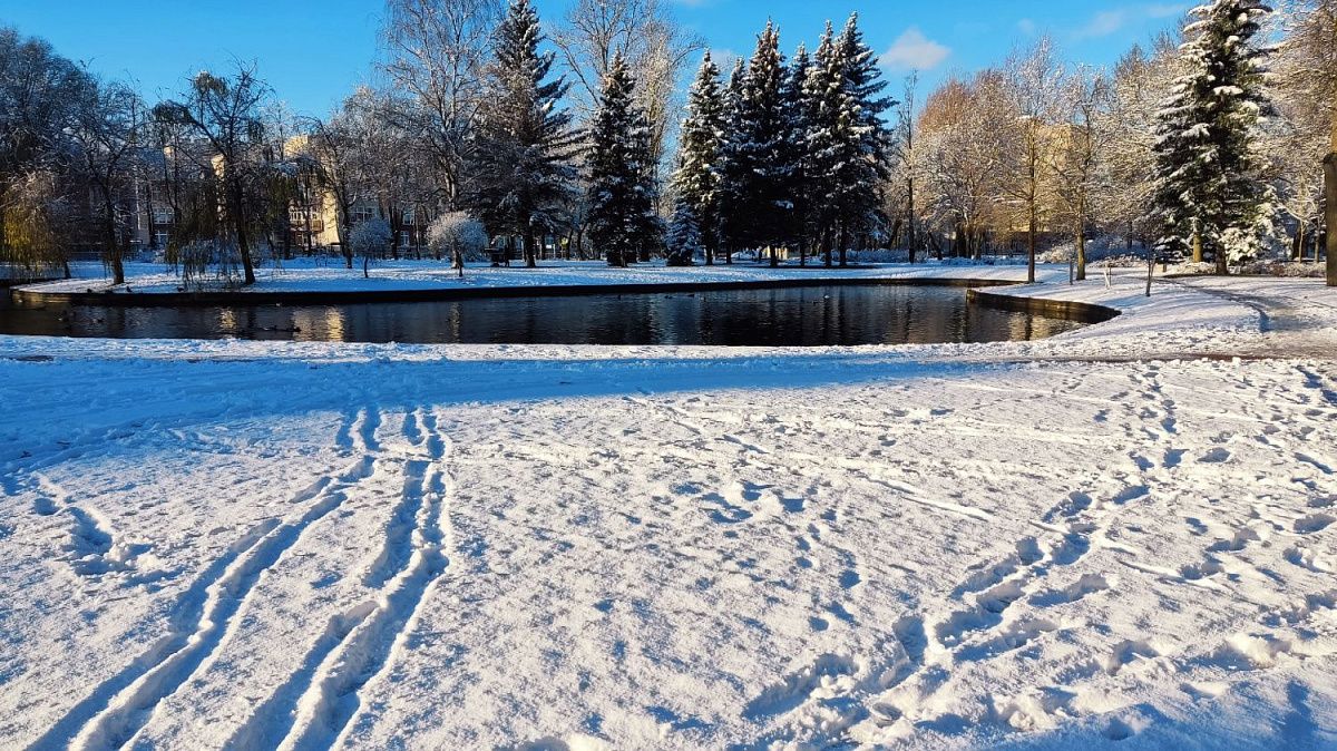 Водителей и пешеходов Петербурга предупредили об ухудшении видимости из-за сильного тумана