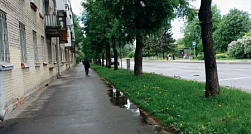 В Петербурге продлили «жёлтый» уровень опасности из-за сильного ветра