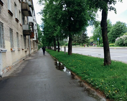 В Петербурге продлили «жёлтый» уровень опасности из-за сильного ветра