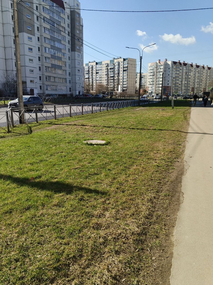 Петербуржцев пригласили присоединиться к «Доброму субботнику»