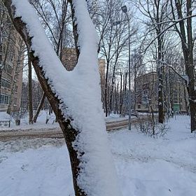 С конца декабря в Петербурге выпало почти 80 см снега