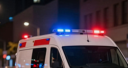 Жители Ленобласти напали на инспекторов ДПС из-за задержанного водителя