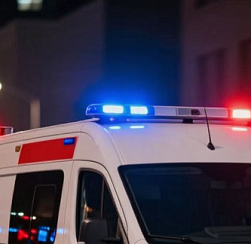 Жители Ленобласти напали на инспекторов ДПС из-за задержанного водителя