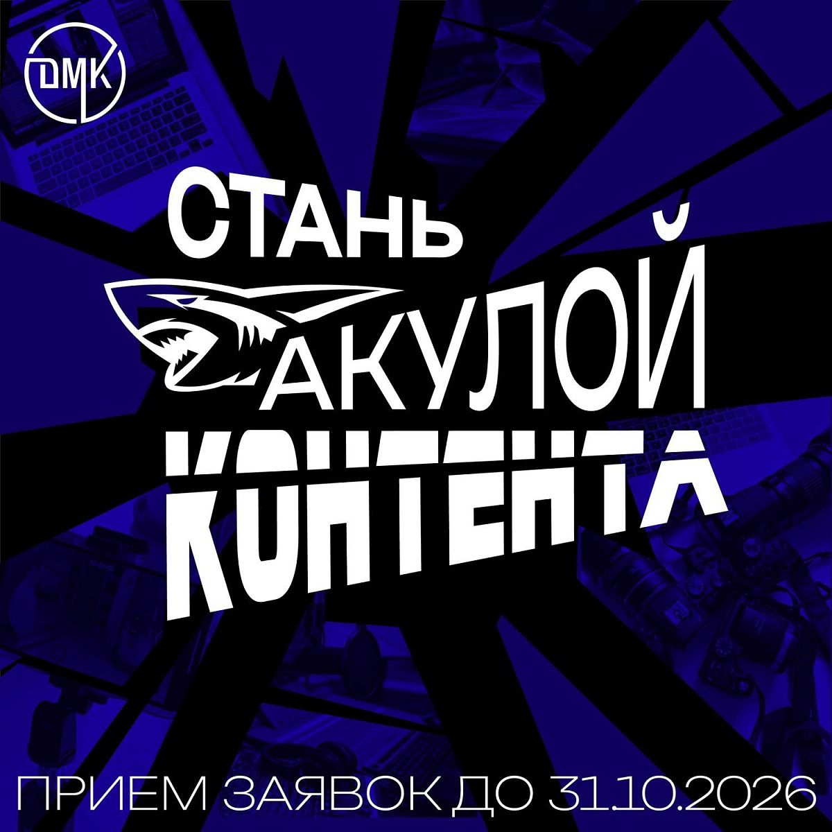 Стань настоящей акулой контента! 
