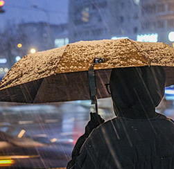 Во вторник в Петербург вернутся дожди