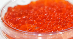 Мошенники перед Новым годом запустили фейковые интернет-магазины красной икры