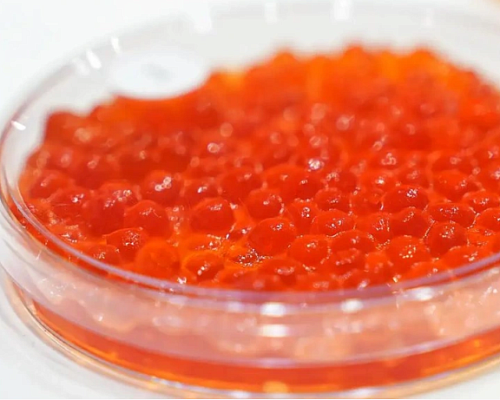 Мошенники перед Новым годом запустили фейковые интернет-магазины красной икры