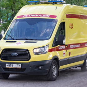 Школьник попал в реанимацию после укуса ядовитой змеи в Ленобласти
