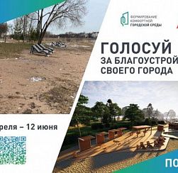 Голосование за благоустройство в Колпинском районе
