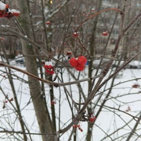 Снег и небольшой «минус»: синоптик — о погоде в Петербурге 2 января Снег и небольшой «минус»: синоптик — о погоде в Петербурге 2 января