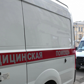 Петербургскую школьницу ужалил за палец скорпион в квартире на Кронверкском