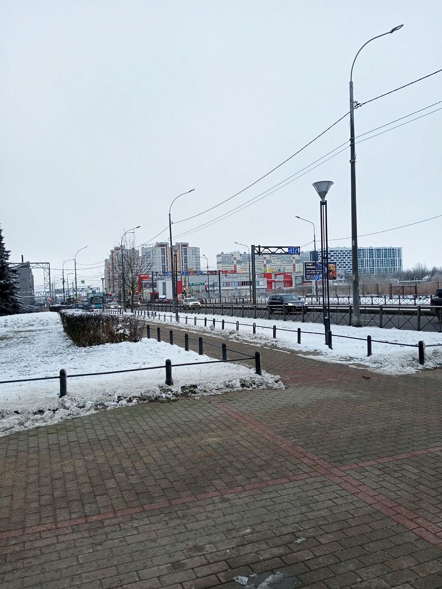 Бесснежием и плюсовой температурой Петербург в очередной раз встретит зиму