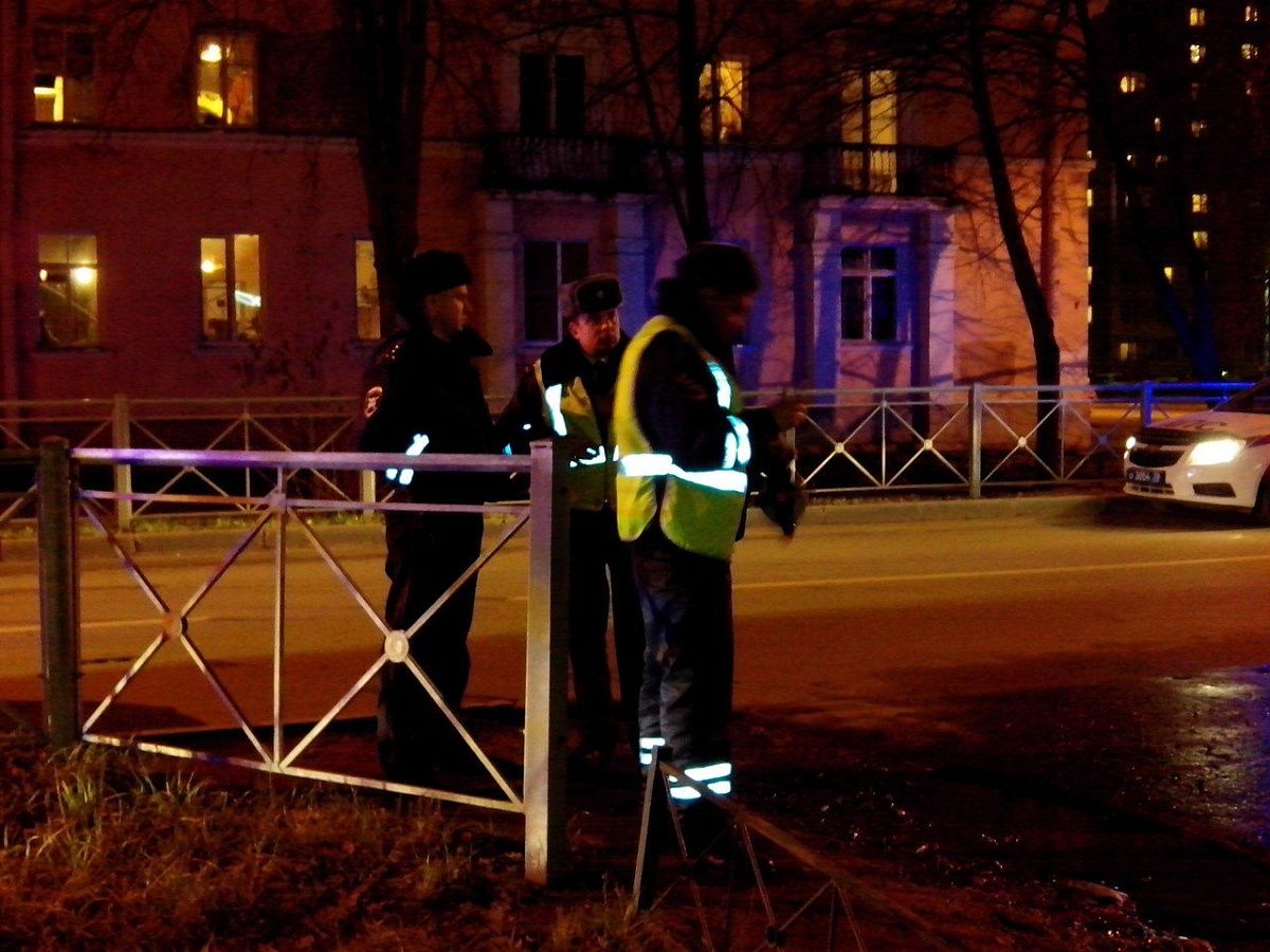 Мигранта, сбившего экскаватором пешехода в Металлострое, обвиняют еще и в угоне