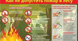 Весной и летом резко увеличивается вероятность возникновения пожаров .