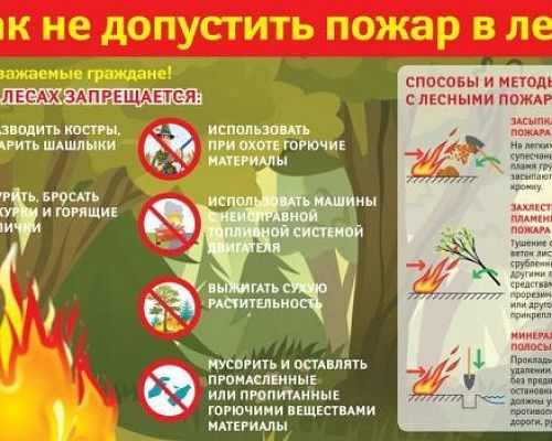 Весной и летом резко увеличивается вероятность возникновения пожаров .