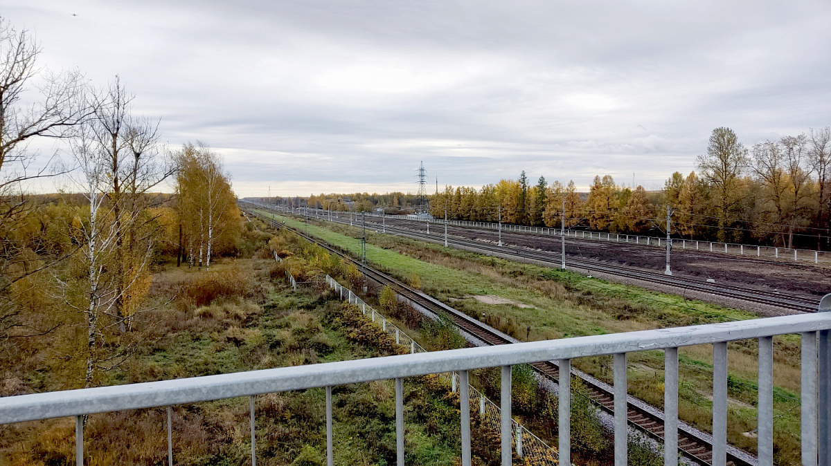 В субботу в Петербурге будет тепло, но дождливо