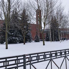 Температура в Петербурге приблизится к границам климатической нормы