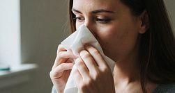 В России проводят клинические исследования первой вакцины от аллергии на пыльцу березы